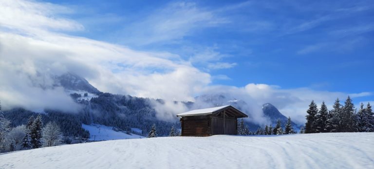 Hütte im Schnee