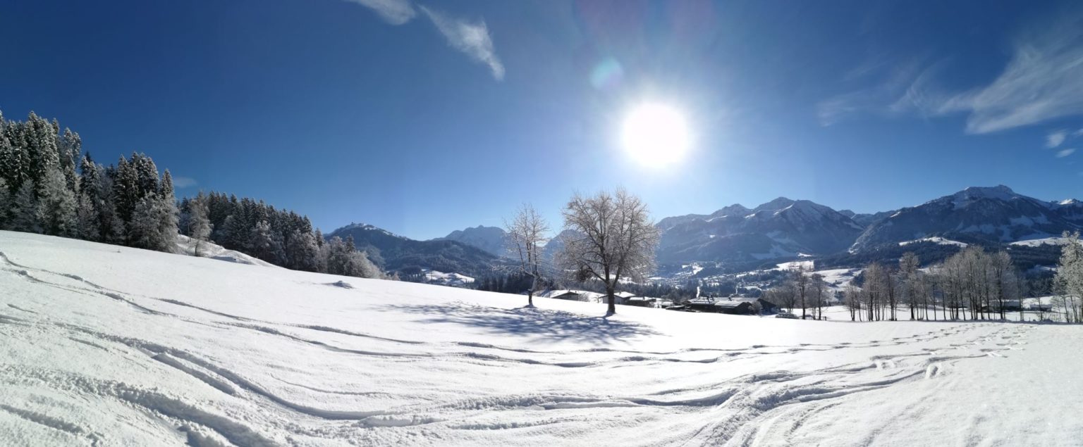 Winterhang mit Skispur